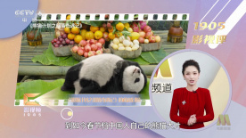 女人做爰叫床声音